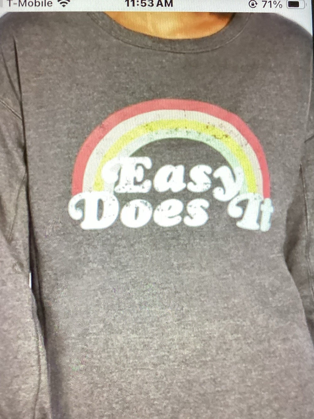 Wildfox Grey Long-Sleeve Tee with Retro Rainbow distressed graphic